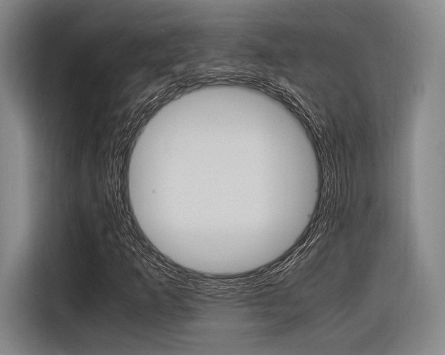 X0000116621253200912110934