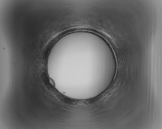 X0000116621255200912110934