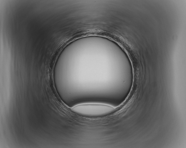 X0000116621257200912110934