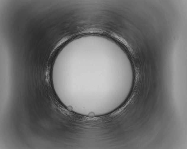X0000116621258200912110934