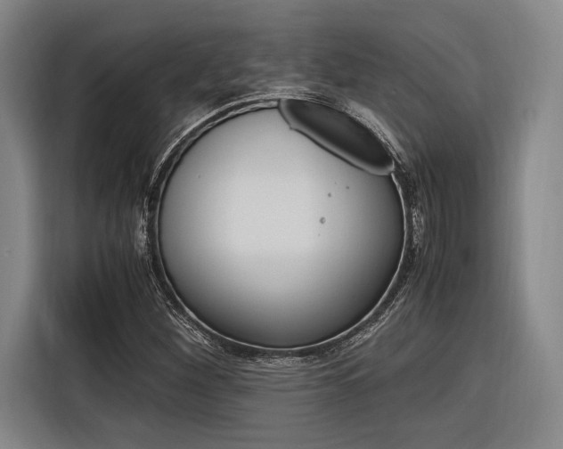X0000116621260200912110934