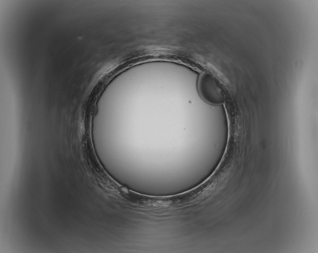 X0000116621261200912110934