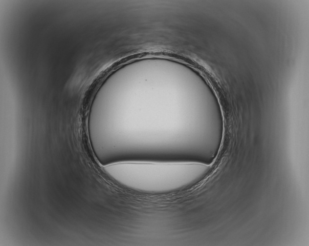 X0000116621263200912110934