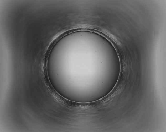 X0000116621264200912110934