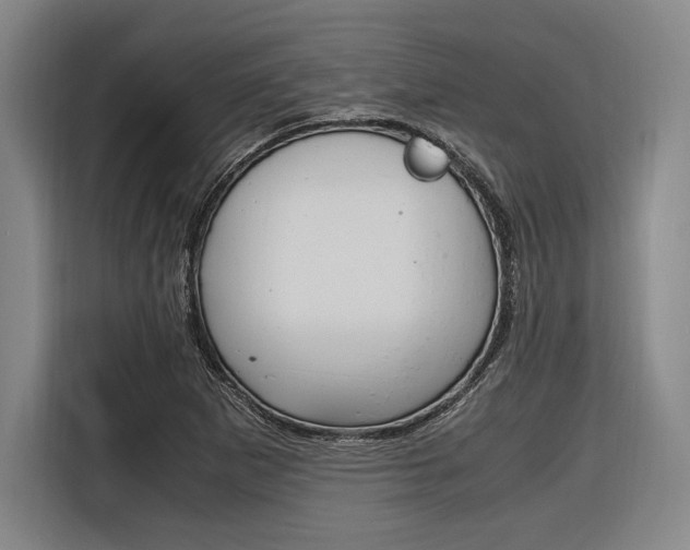 X0000116621265200912110934