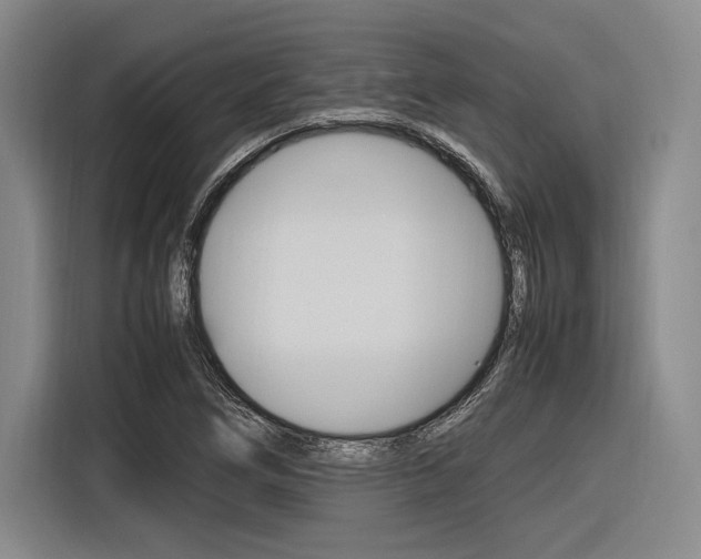 X0000116621266200912110934