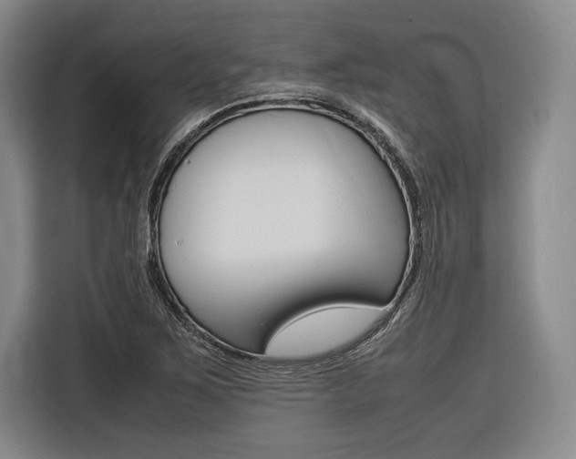 X0000116621267200912110933