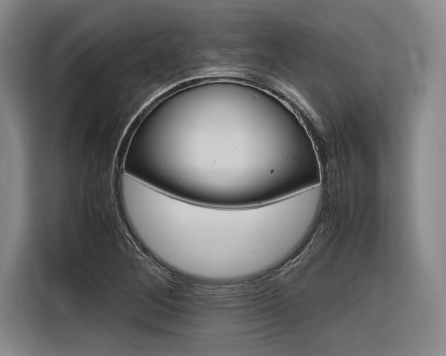 X0000116621268200912110933