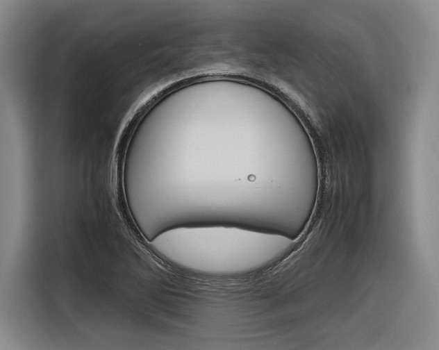 X0000116621270200912110933