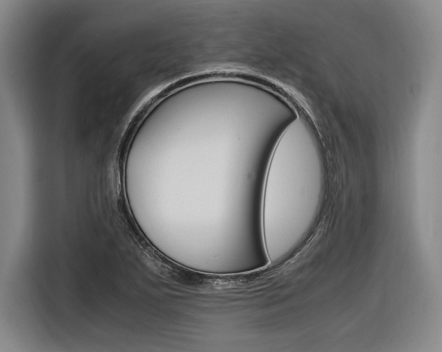 X0000116621271200912110933