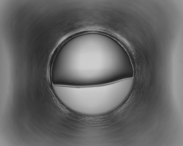 X0000116621272200912110933
