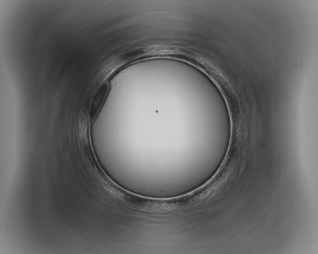 X0000116621273200912110933