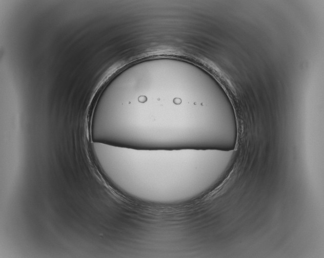 X0000116621274200912110933