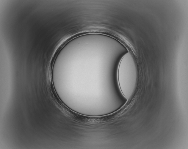 X0000116621275200912110933