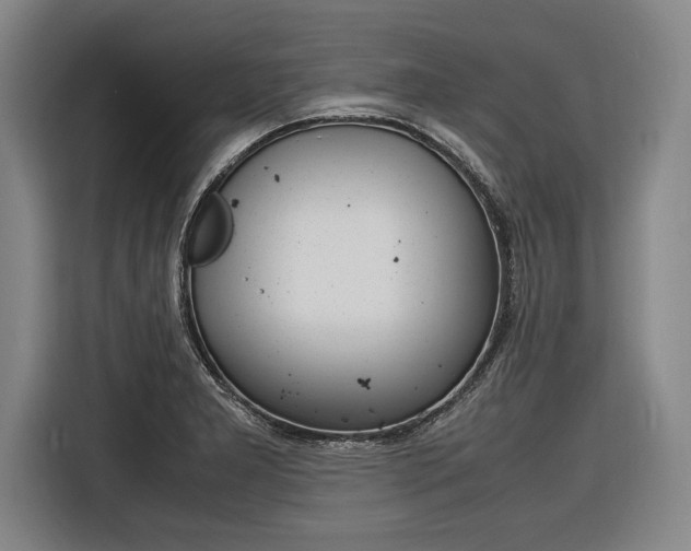 X0000116621277200912110933