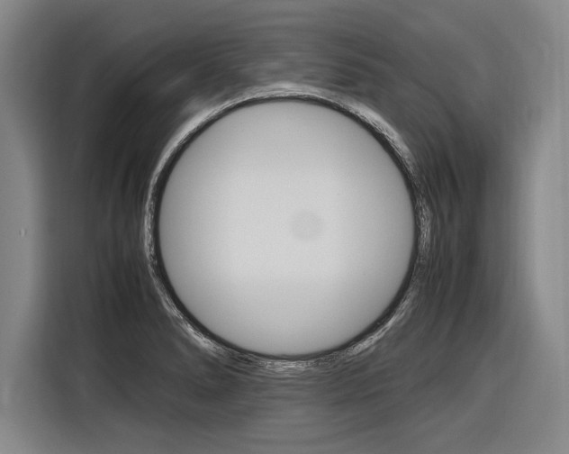 X0000116621278200912110933