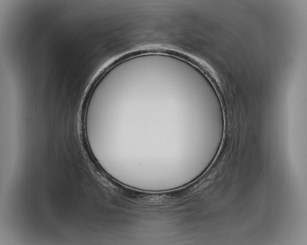 X0000116621279200912110933