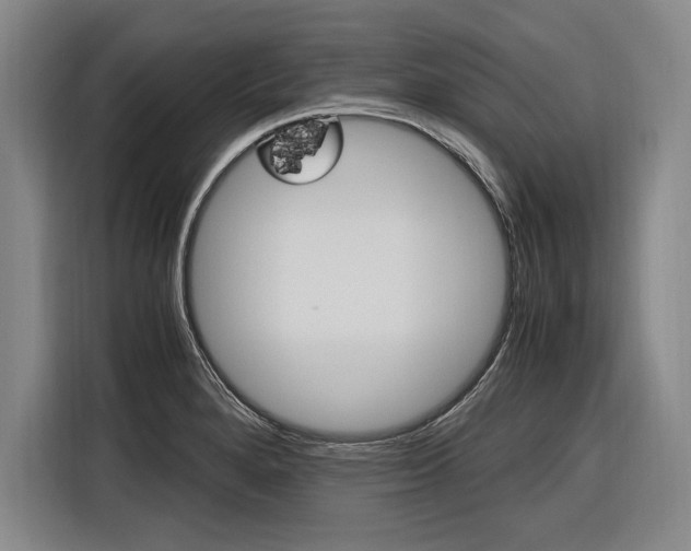 X0000116621280200912110933