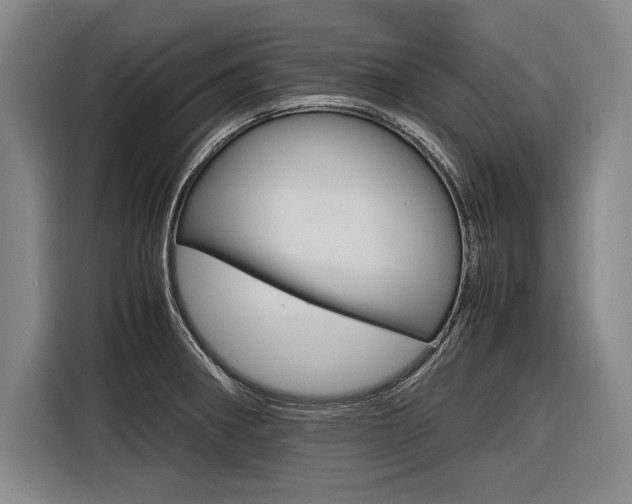 X0000116621282200912110933