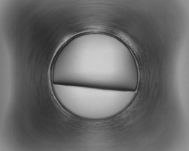 X0000116621283200912110933