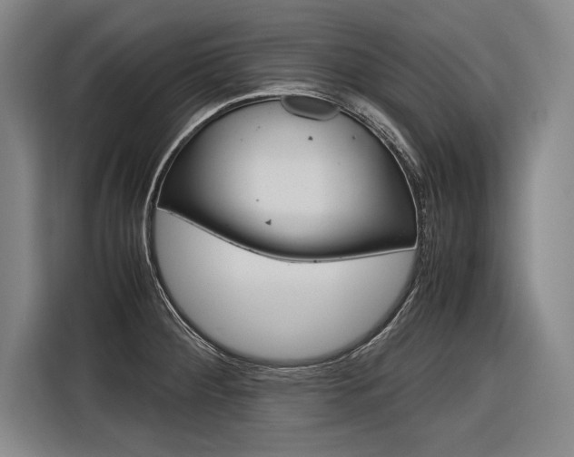 X0000116621284200912110933