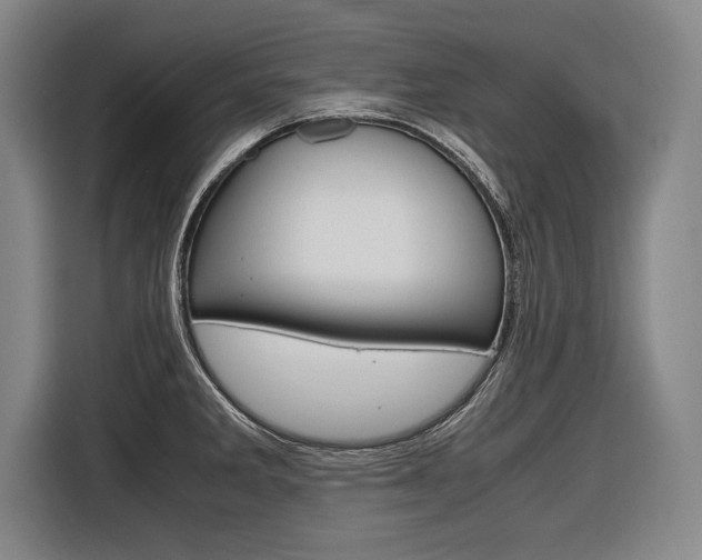 X0000116621285200912110933