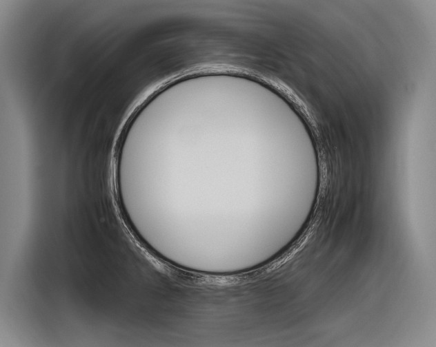 X0000116621286200912110933