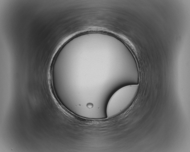 X0000116621287200912110933