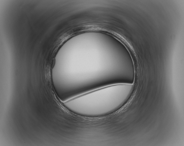 X0000116621289200912110933