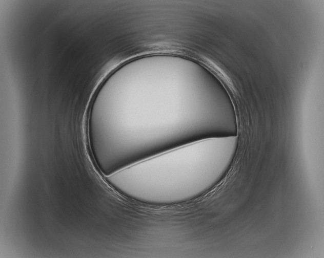 X0000116621291200912110933