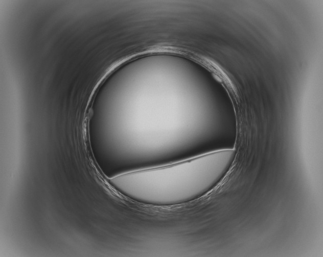 X0000116621292200912110933