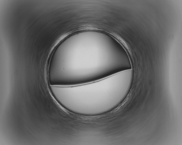 X0000116621293200912110933