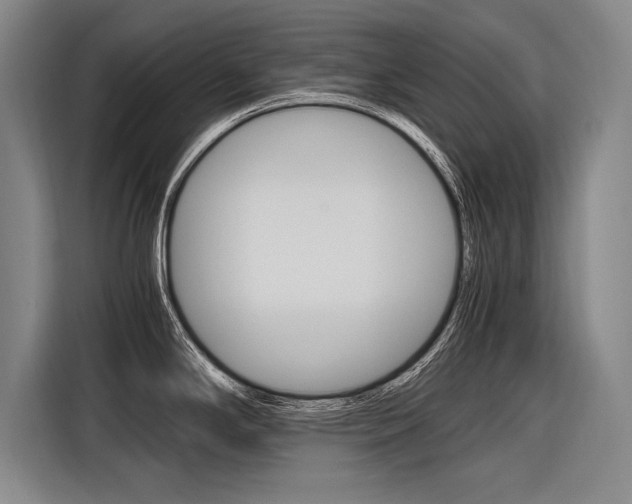 X0000116621294200912110933