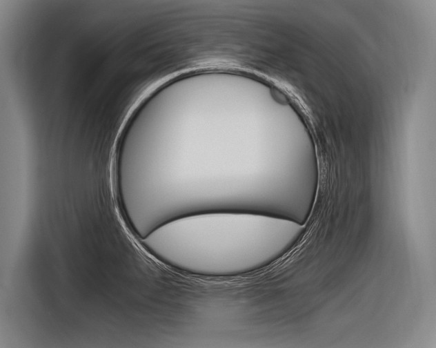 X0000116621295200912110933