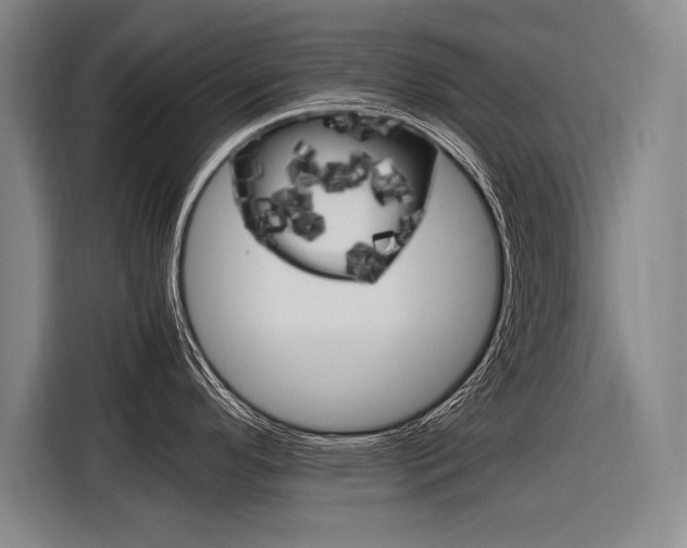 X0000116621296200912110933