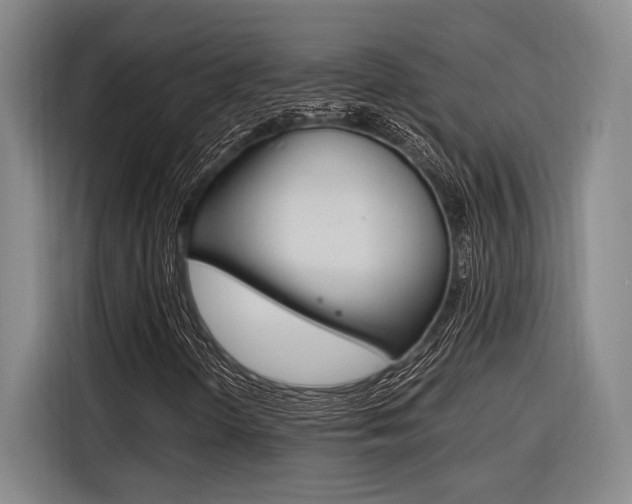 X0000116621298200912110933
