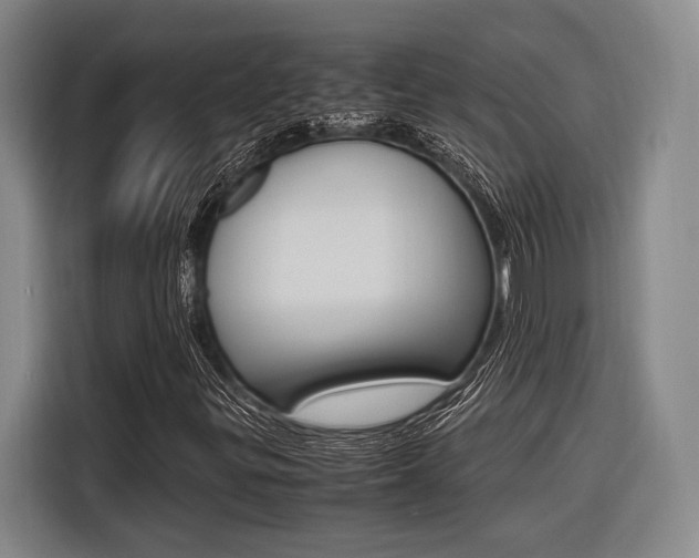 X0000116621299200912110933