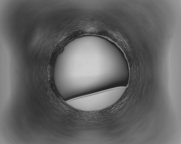 X0000116621301200912110933