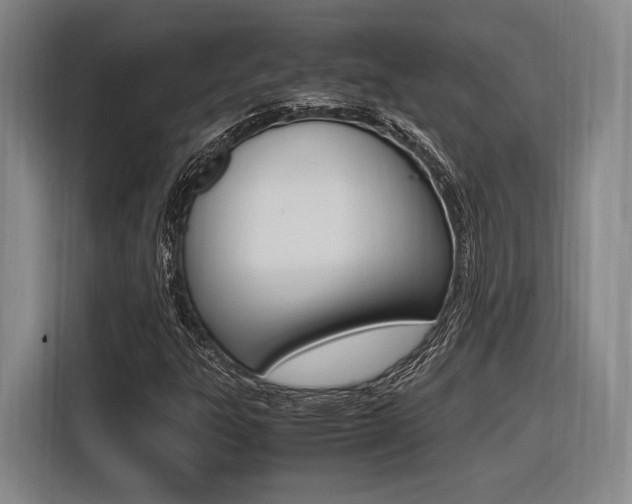 X0000116621303200912110933