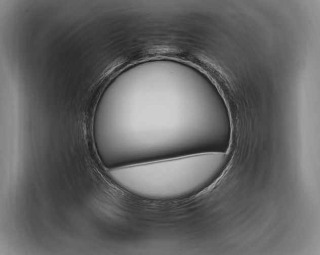 X0000116621305200912110933