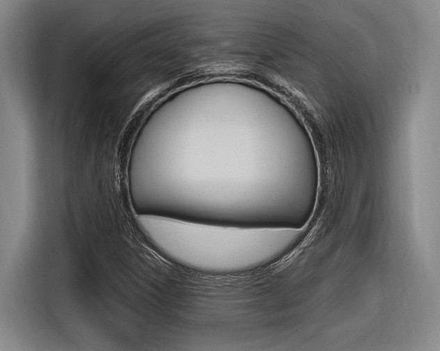X0000116621306200912110933