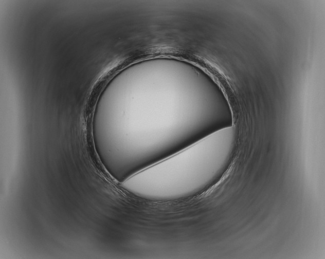 X0000116621309200912110933
