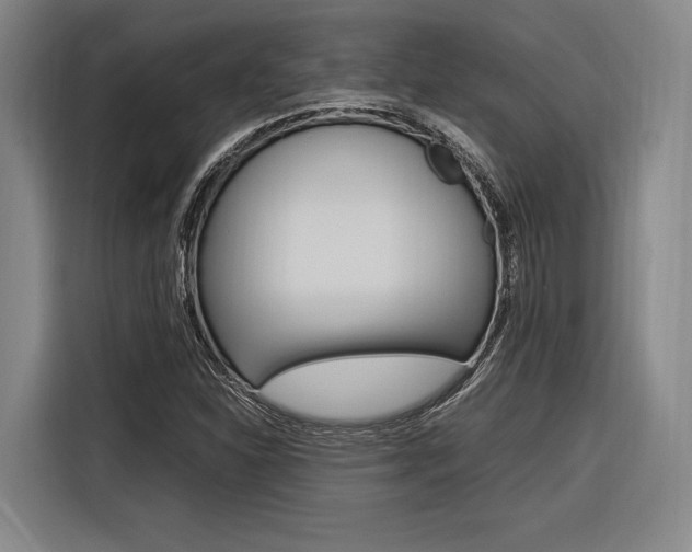 X0000116621310200912110933
