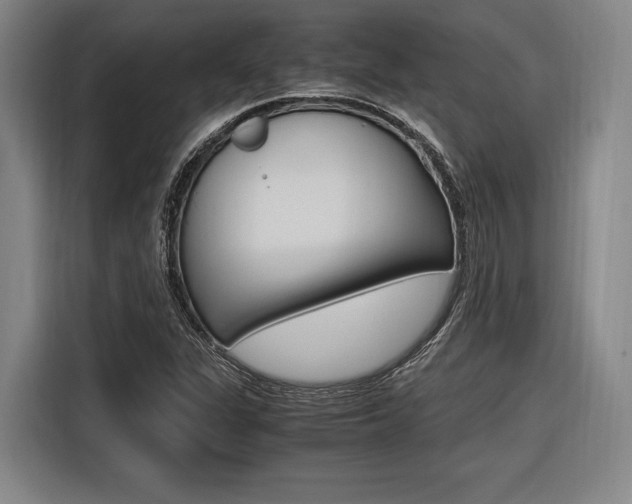 X0000116621311200912110933