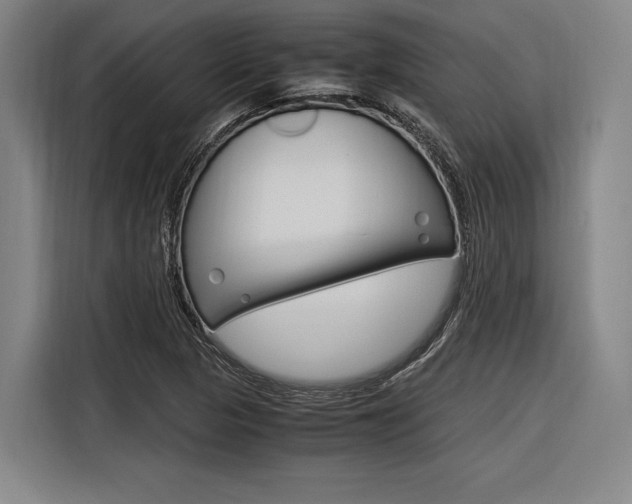 X0000116621313200912110933