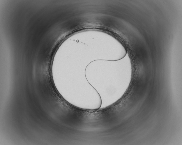 X0000116621314200912110933