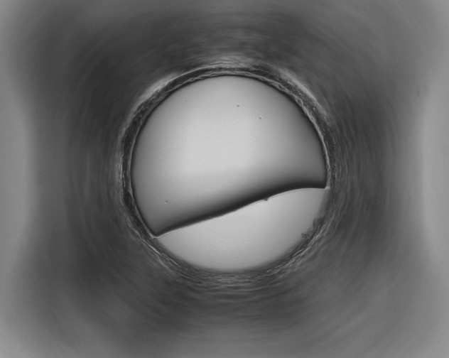 X0000116621315200912110933