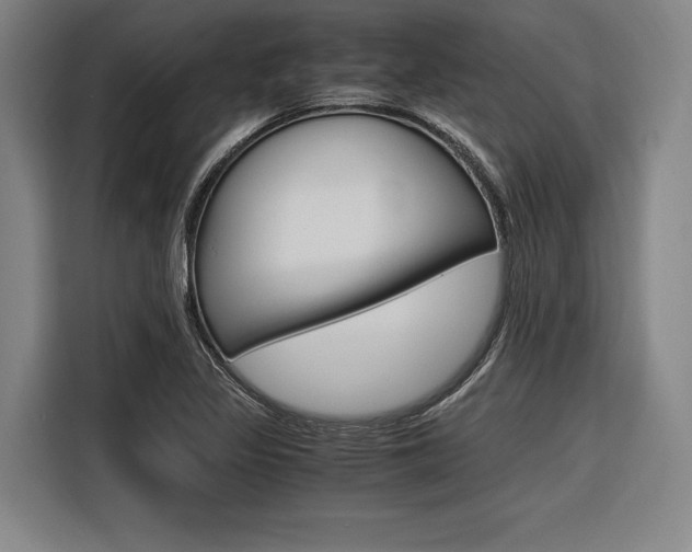 X0000116621317200912110933