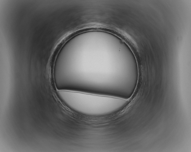 X0000116621318200912110933