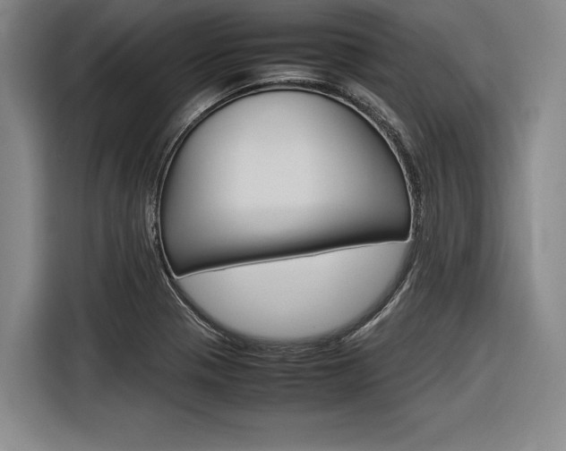 X0000116621321200912110933